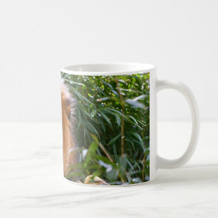 Leão masculino, rei da caneca de café dos animai