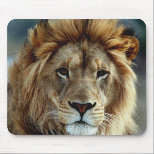 Leão Mousepad