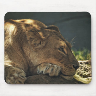 Leão no Shade Mousepad