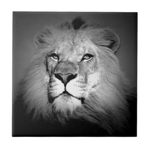 Leão preto & branco
