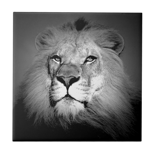 Leão preto e branco (Frente)