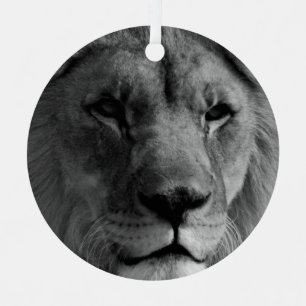 Leão preto e branco