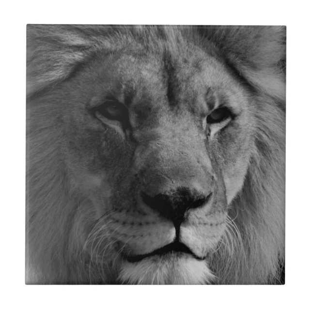 Leão preto e branco (Frente)