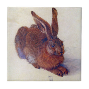 Lebre Jovem por Albrecht Durer, Arte Fino Renascen