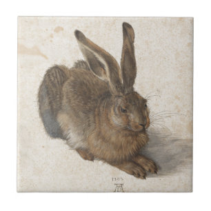 Lebre nova por Albrecht Durer