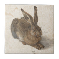 Lebre por Albrecht Durer
