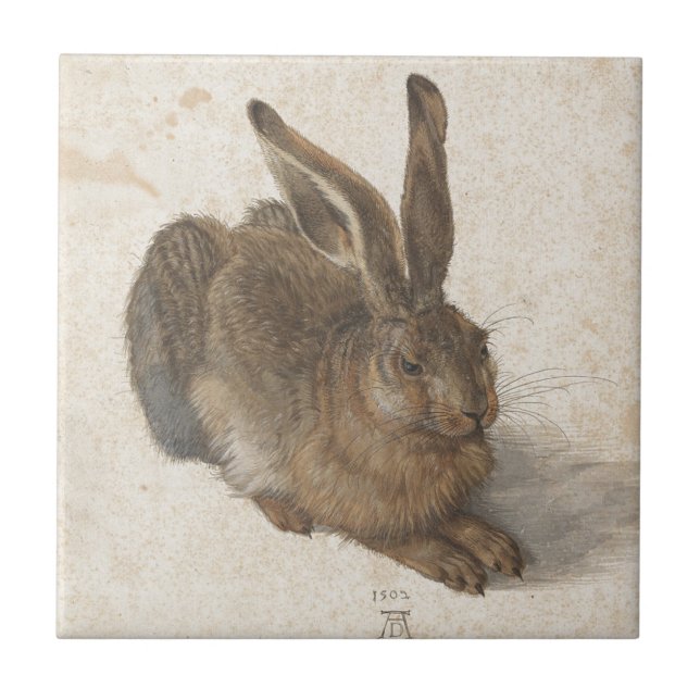 Lebre por Albrecht Durer (Frente)