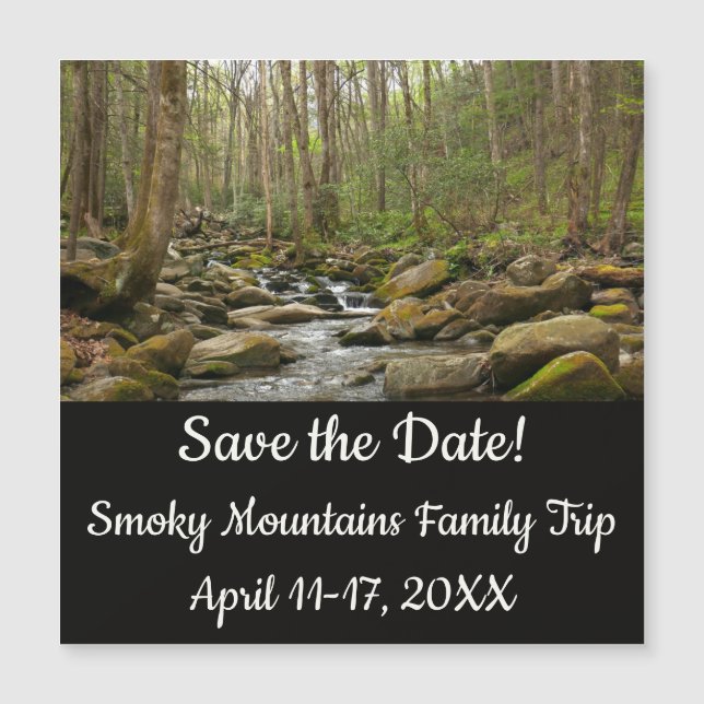 LeConte Creek nas Montanhas do Enfumaçado do Excel (Frente)