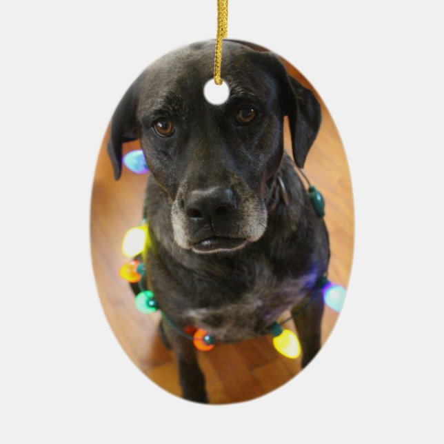 Lefy + Ornamento de Hoiday das luzes (Frente)