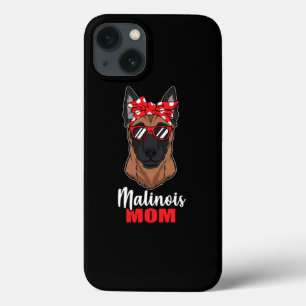 Legal Cachorro Malinois Mãe Cachorro Sobrevivente