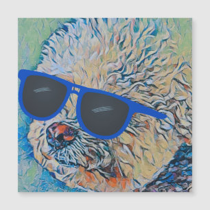 Legal 'Chon o íman flexível Bichon
