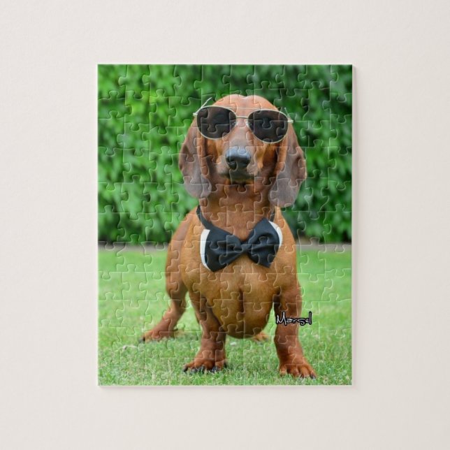 Legal com Sunglass Dachshund dog 110 quebra-cabeça (Vertical)