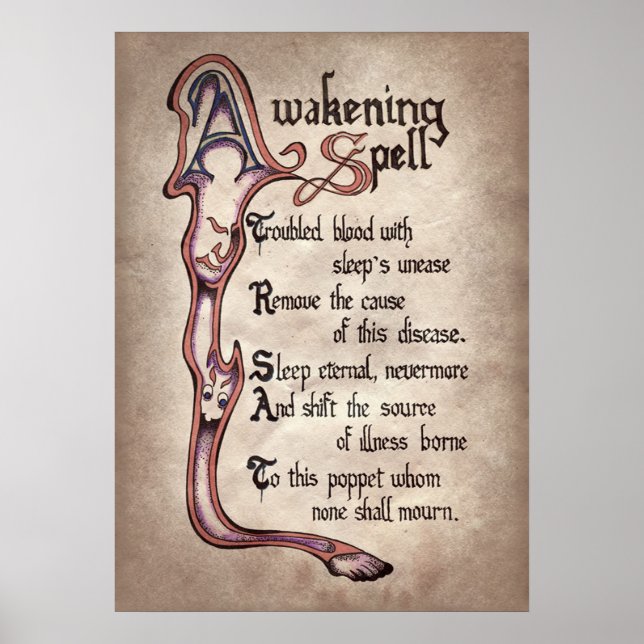 legal festa feiticeira Poster (Frente)