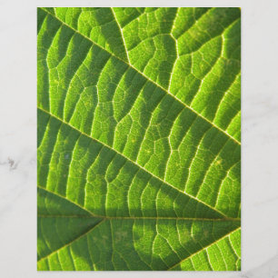 Legal literatura verde