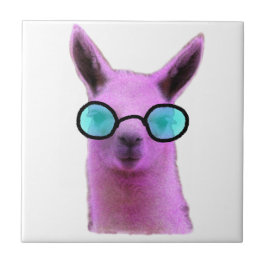 Legal Llama Rosa!