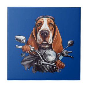 Legal motoqueiro, fofo motorista de cão de caça de