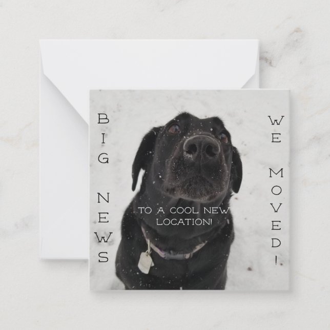 Legal novo local! Cartão Postal (Frente)