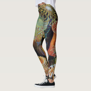Legging A arte da natureza por Ernst Haeckel