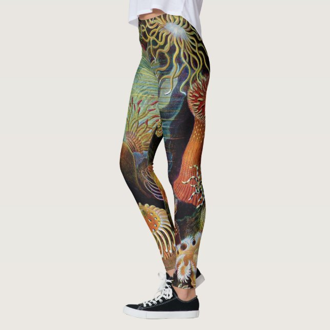 Legging A arte da natureza por Ernst Haeckel (Esquerda)