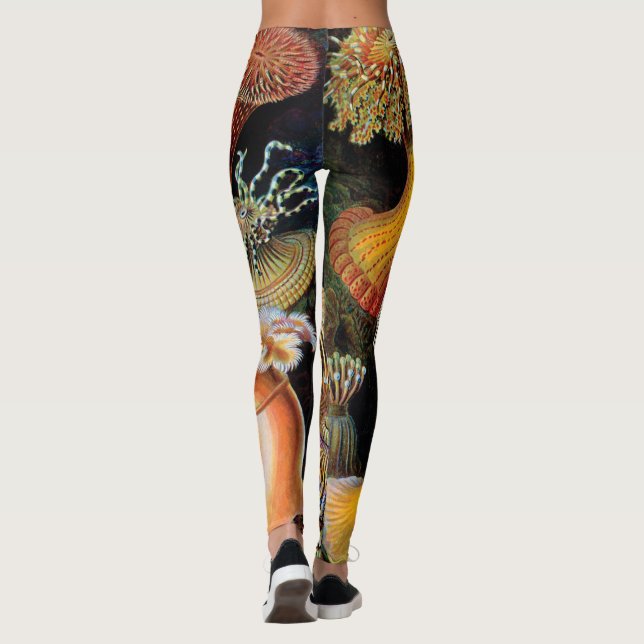 Legging A arte da natureza por Ernst Haeckel (Verso)
