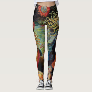 Legging A arte da natureza por Ernst Haeckel