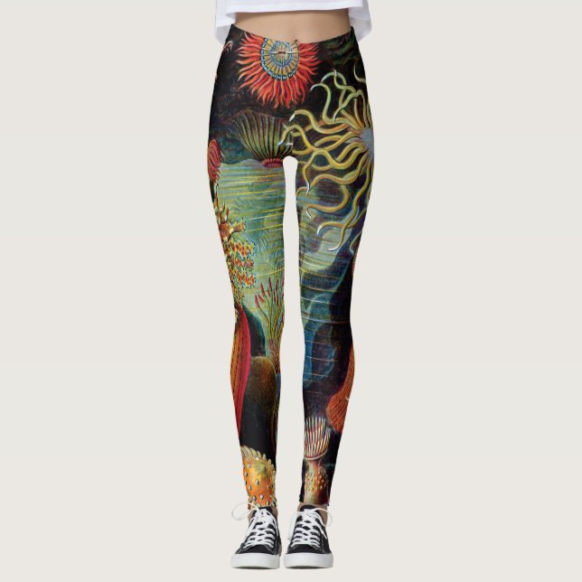Legging A arte da natureza por Ernst Haeckel (Frente)