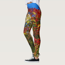Legging Andromeda Bonfire