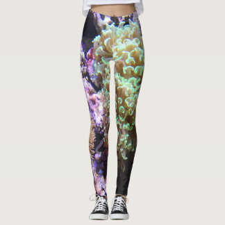 Legging Anêmonas de mar