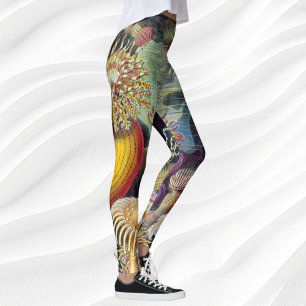Legging Anêmonas Marinhas Vintage por Ernst Haeckel