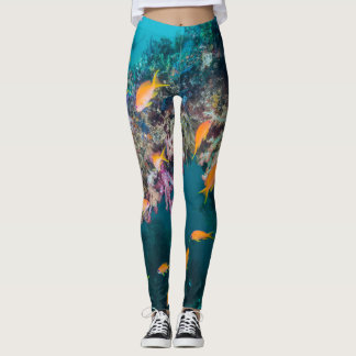 Legging Anthias Peixe Dourado