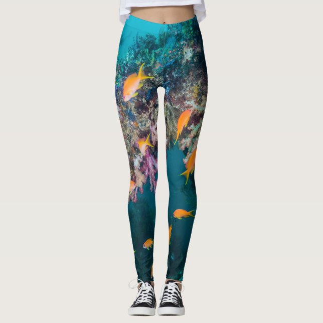 Legging Anthias Peixe Dourado (Frente)