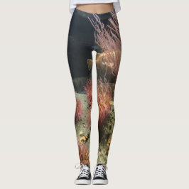 Legging Aquário