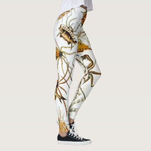 Legging Aranhas ou Aracnídeos Vintage por Ernst Haeckel