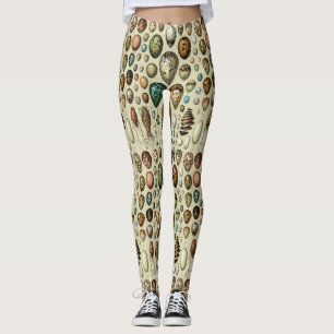 Legging Arte de Ovos de Pássaros da Academia Sombria Vinta