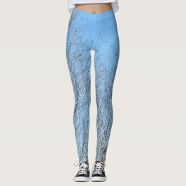 Legging Árvores de inverno contra o céu azul