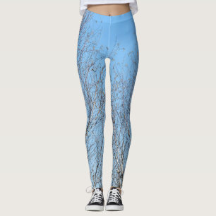 Legging Árvores do inverno contra o céu azul
