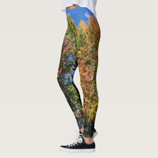 Legging Árvores em cores de outono nas pernas para todos d