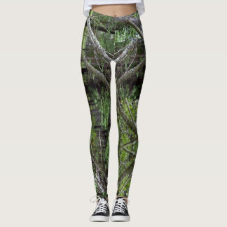Legging Árvores em Michigan