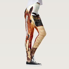 Legging As caneleiras das mulheres do cavalo do Palomino