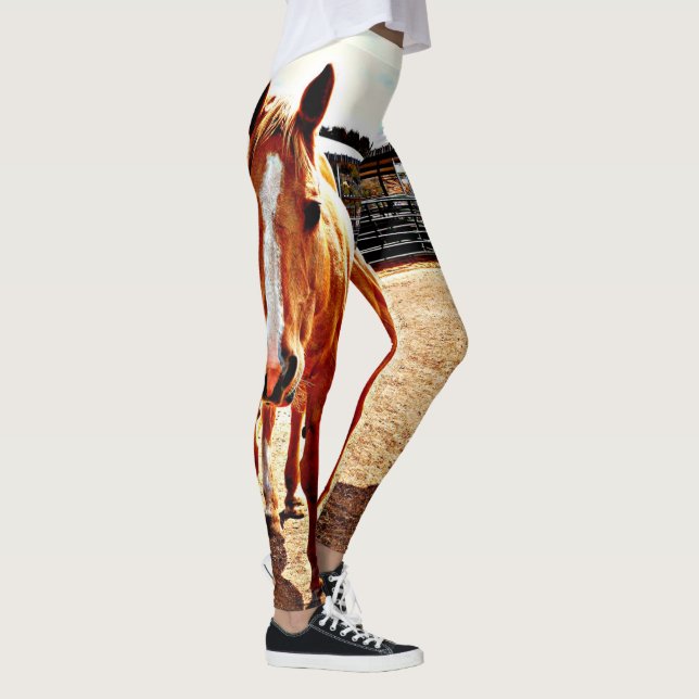 Legging As caneleiras das mulheres do cavalo do Palomino (Direita)