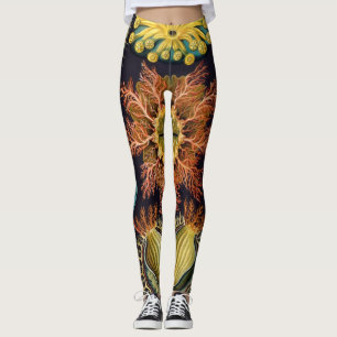 Legging Ascidiae por Ernst Haeckel, Animais Marinhos Vinta