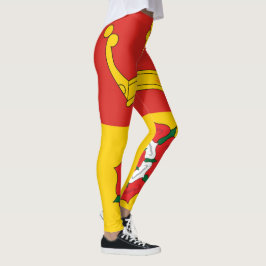 Legging Bandeira de Hampshire (condado do Reino Unido)