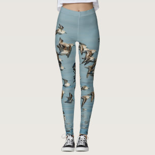 Legging Bando de Sanderlings em Voo
