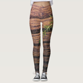 Legging bela madeira velha