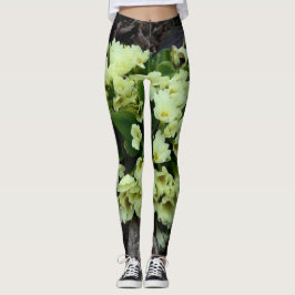 Legging Bonita Primula vulgaris Primroses em folhas secas