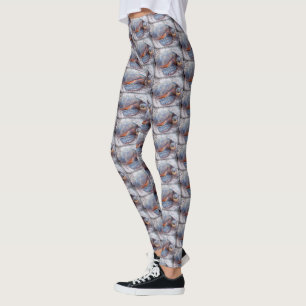 Legging Bonito, foto à moda do Fim-acima da tartaruga de