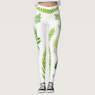 Legging Botânico British Ferns Design