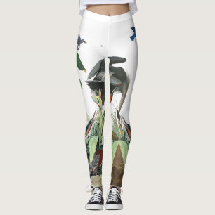 Legging Caneleiras azuis do pássaro do Bluebird do