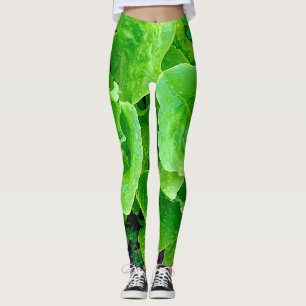 Legging Caneleiras da alface