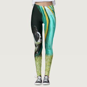 Legging Caneleiras da arte do cão de Boston Terrier da